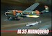 IA35 Huanquero FAA33
